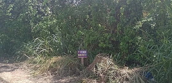 Foto imóvel